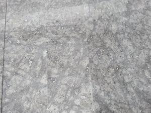 zilveren vos lichte gery graniet binnenmuurplaten