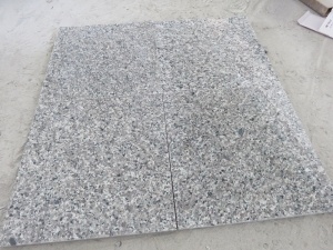 Zwaan blauw graniet gepolijst straatsteen tegels ontwerpen