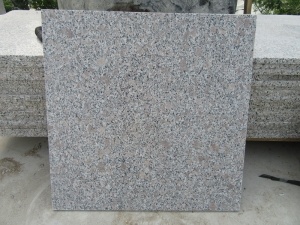  G383 parelbloem grijs graniet meest populaire tegel